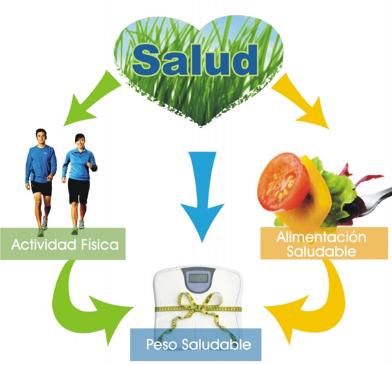 sst habitos saludables