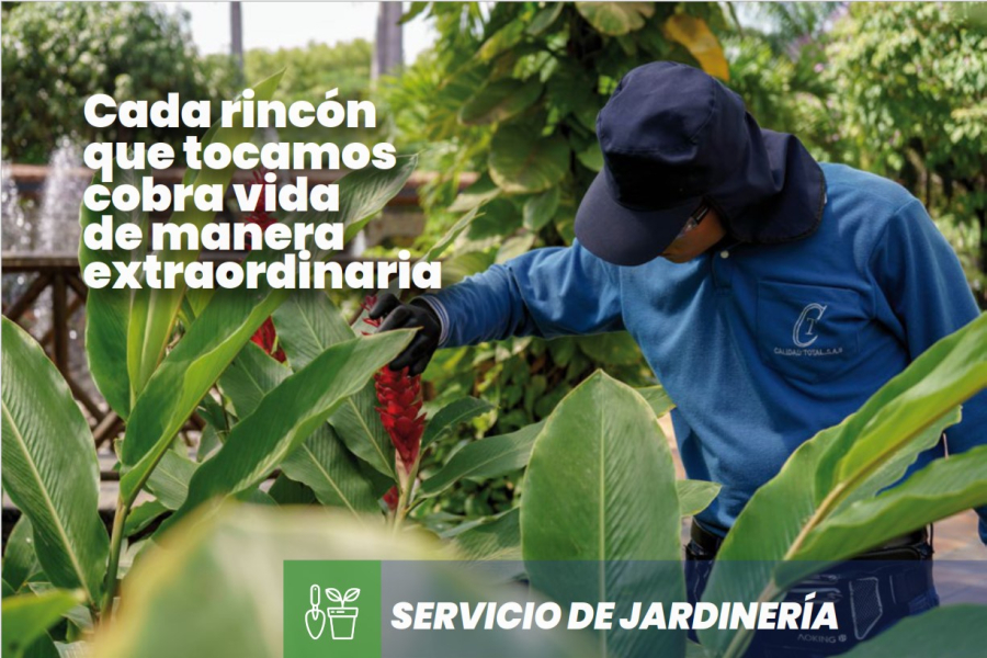 Servicio de Jardinería
